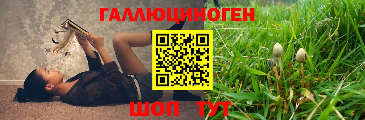 Анапа  Псилоцибиновые грибы мицелий  Псилоцибиновые грибы Psilocybine cubensis  Вход с VPN 