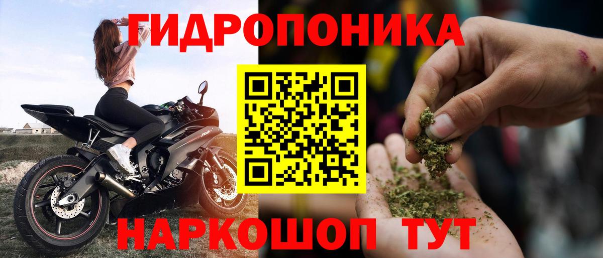 Бошки марихуана индика  Вход с VPN  Марихуана конопля  Анапа  Каннабис сатива  Шишки марихуана OG Kush 